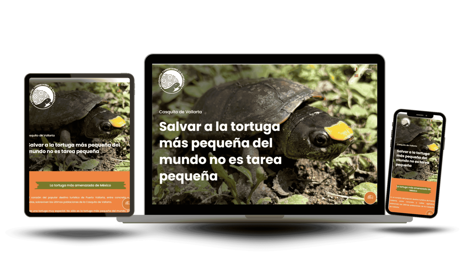 Portafolio 2025 (10)